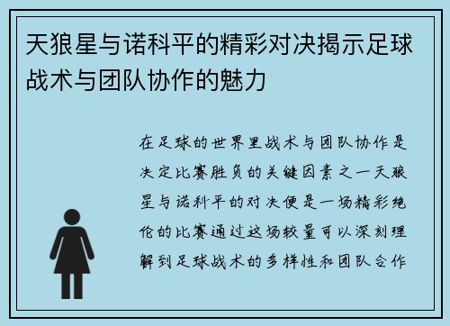 天狼星与诺科平的精彩对决揭示足球战术与团队协作的魅力