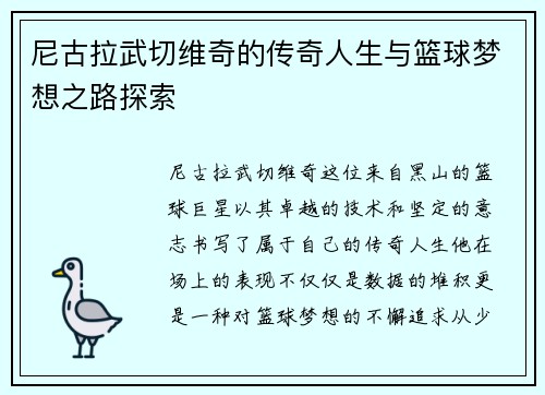 尼古拉武切维奇的传奇人生与篮球梦想之路探索