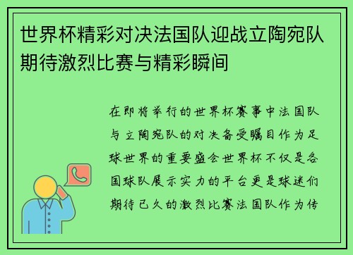 世界杯精彩对决法国队迎战立陶宛队期待激烈比赛与精彩瞬间