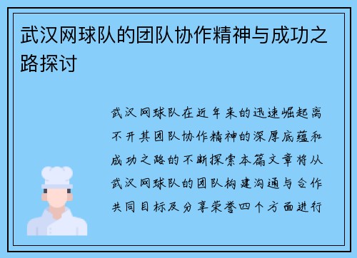 武汉网球队的团队协作精神与成功之路探讨